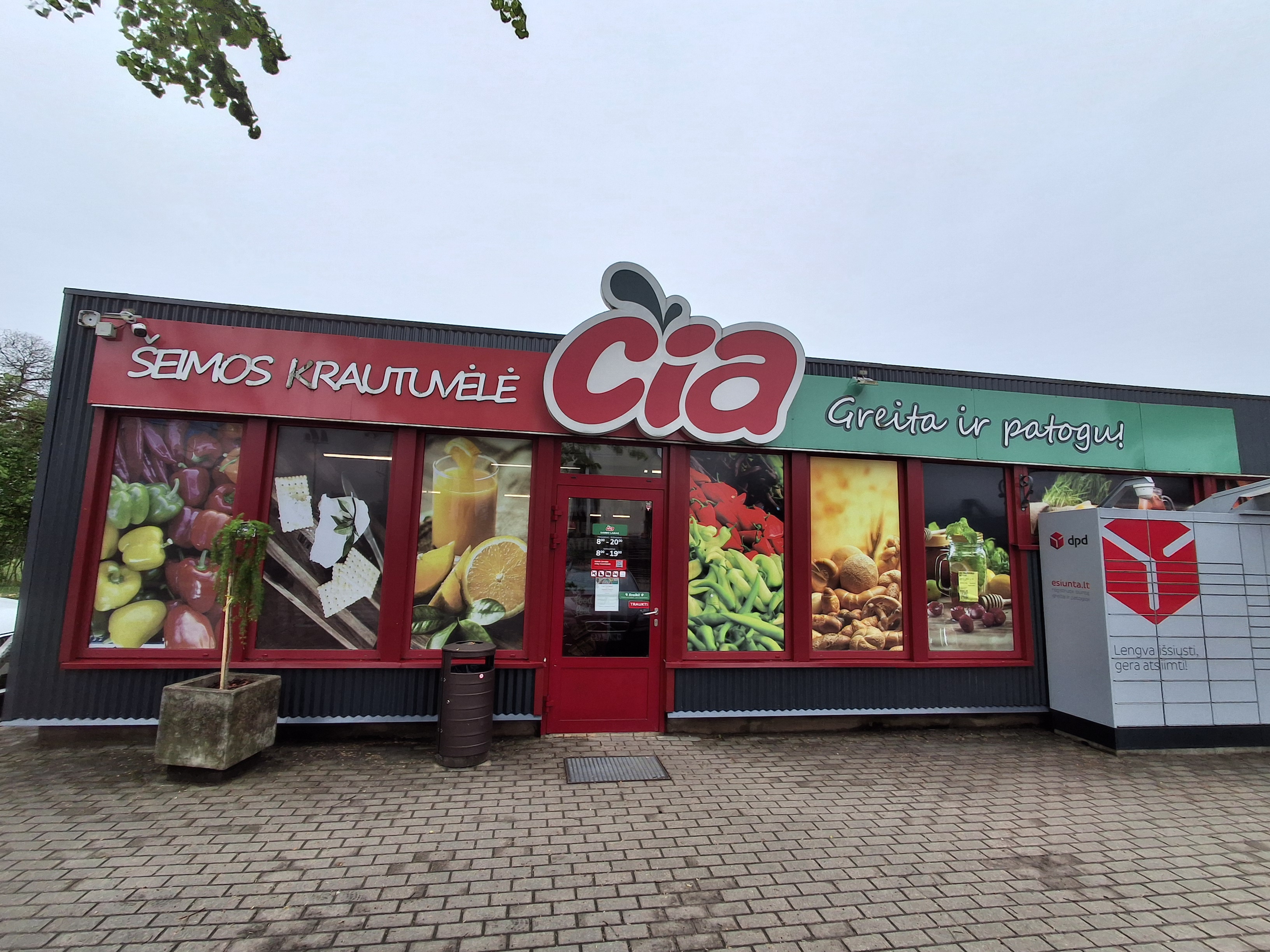 ČIA 29