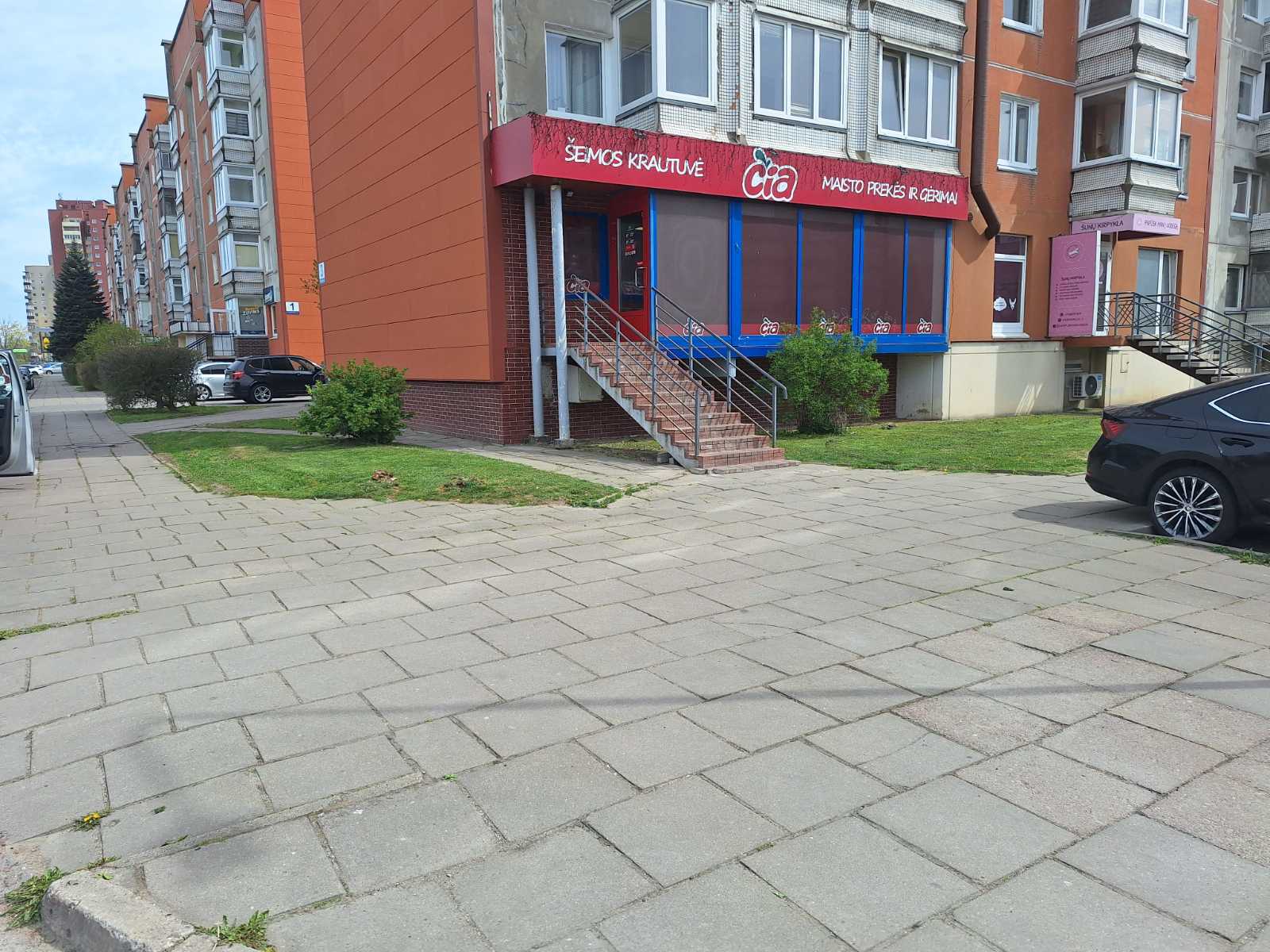 ČIA 31